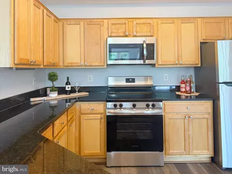1530 Spring Gate Dr #9317, Mclean, VA 22102 photo 18