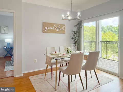 1530 Spring Gate Dr #9317, Mclean, VA 22102 photo 11