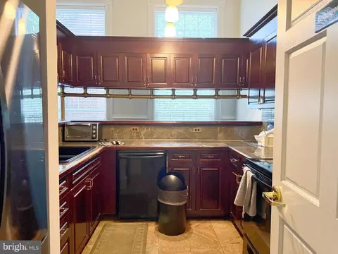 1530 Spring Gate Dr #9317, Mclean, VA 22102 photo 47
