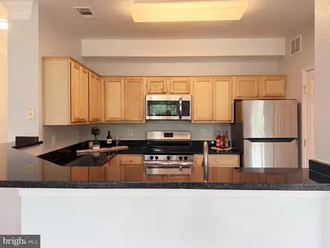 1530 Spring Gate Dr #9317, Mclean, VA 22102 photo 17