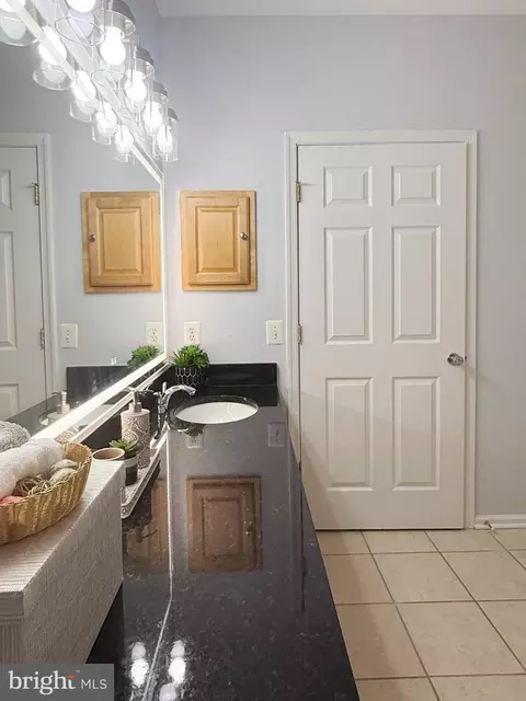 1530 Spring Gate Dr #9317, Mclean, VA 22102 photo 25