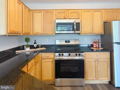 1530 Spring Gate Dr #9317, Mclean, VA 22102 photo 16