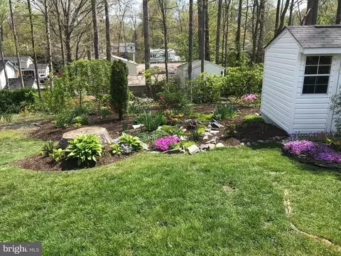 Exterior - 6607 Grey Fox Dr, Springfield, VA 22152 photo 12 of 13