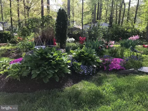 Exterior - 6607 Grey Fox Dr, Springfield, VA 22152 photo 10 of 13