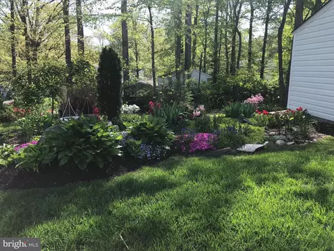 Exterior - 6607 Grey Fox Dr, Springfield, VA 22152 photo 11 of 13