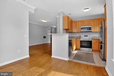 Other - 1600 Spring Gate Dr #2402, Mclean, VA 22102 photo 3 of 10