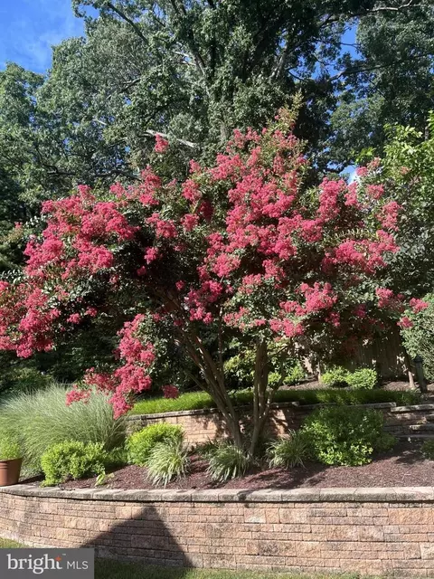 7003 Polins Ct, Alexandria, VA 22306