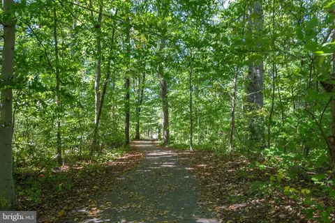 7402 Inzer St, Springfield, VA 22151 photo 37