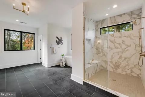 Bath - 1701 Briar Ridge Rd, Mclean, VA 22101 photo 4 of 4