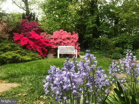 6429 Divine St, Mclean, VA 22101 photo 4