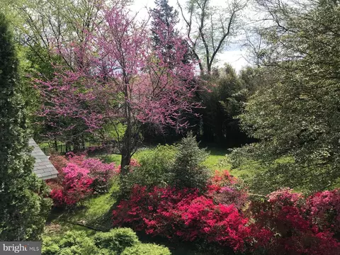 6429 Divine St, Mclean, VA 22101 photo 3