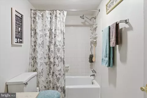 Bath - 7600 Tremayne Pl #301, Mclean, VA 22102 photo 2 of 3