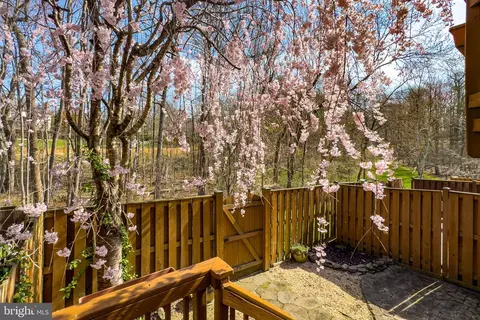 7923 Valleyfield Dr, Springfield, VA 22153 photo 19