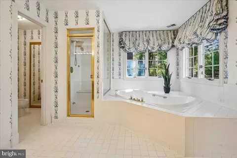 Bath - 8013 Greenwich Woods Dr, Mclean, VA 22102 photo 4 of 9