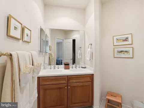 Bath - 1467 Evans Farm Dr, Mclean, VA 22101 photo 3 of 5
