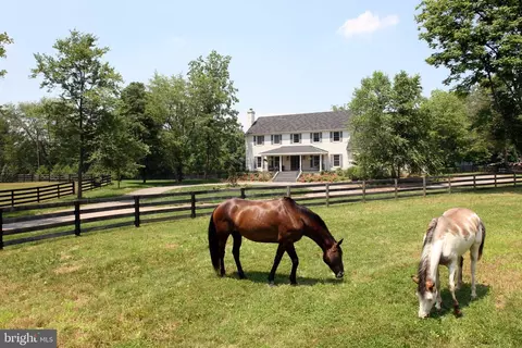 11748 Thomas Ave, Great Falls, VA 22066