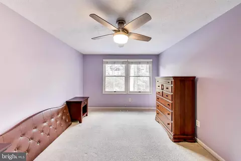Bedroom - 8404 Chillum Ct, Springfield, VA 22153 photo 11 of 12