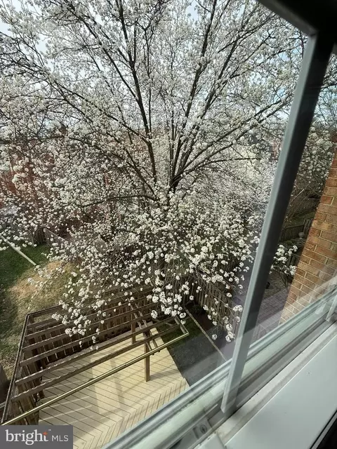 Other - 7753 Shootingstar Dr, Springfield, VA 22152 photo 25 of 36