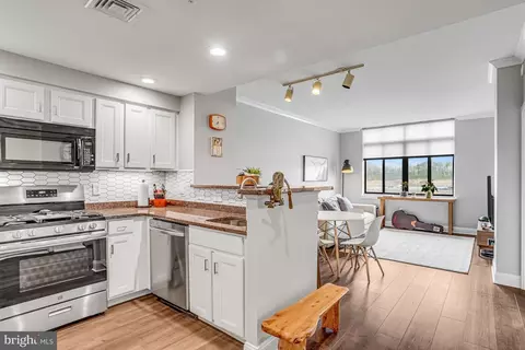 4480 Market Commons Dr #412, Fairfax, VA 22033