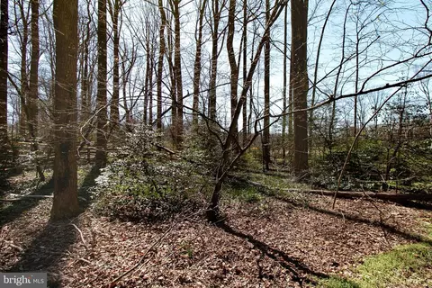 Other - 12415 Caisson Rd, Fairfax, VA 22030 photo 10 of 10