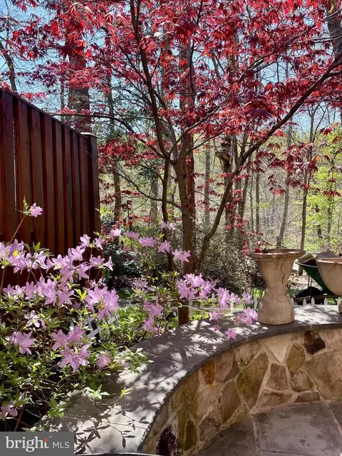 Exterior - 7961 Hidden Bridge Dr, Springfield, VA 22153 photo 6 of 12