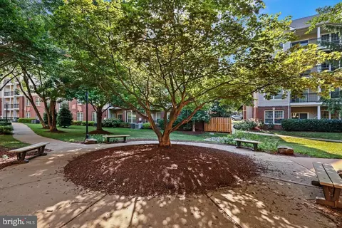Exterior - 1601 Spring Gate Dr #1204, Mclean, VA 22102 photo 5 of 16