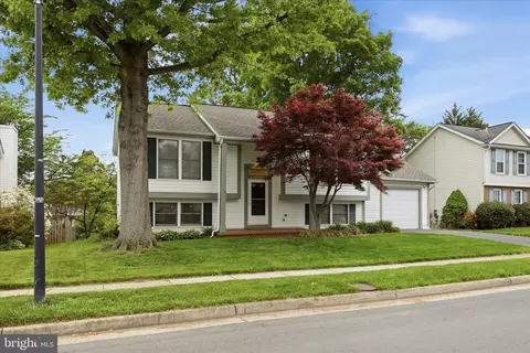 Exterior - 3824 Beech Down Dr, Chantilly, VA 20151 photo 11 of 13