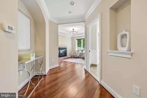 Entry Way - 7008 Hamel Hill Ct, Mclean, VA 22101 photo 11 of 15