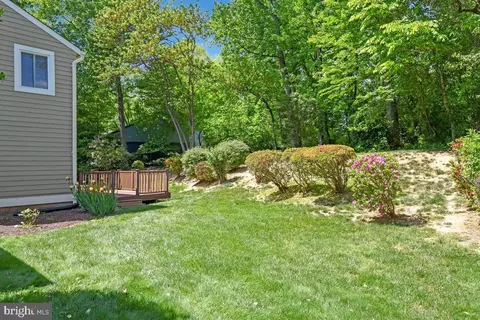 Exterior - 11814 Blue Spruce Rd, Reston, VA 20191 photo 6 of 7