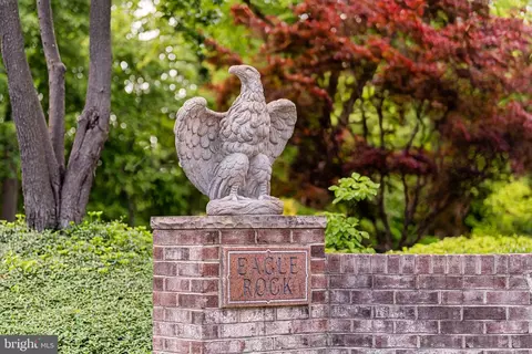 Other - 7018 Green Oak Dr, Mclean, VA 22101 photo 49 of 54