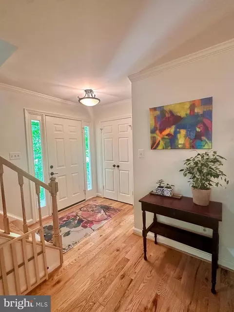 Entry Way - 7929 Valleyfield Dr, Springfield, VA 22153 photo 1 of 3