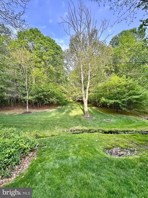 Exterior - 7929 Valleyfield Dr, Springfield, VA 22153 photo 12 of 14