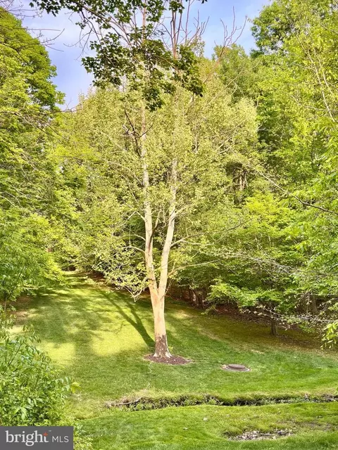 Exterior - 7929 Valleyfield Dr, Springfield, VA 22153 photo 11 of 14