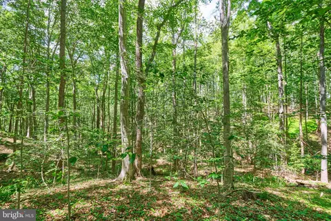8228 Shadowridge Dr, Fairfax Station, VA 22039