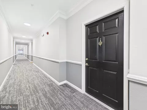Entry Way - 1601 Spring Gate Dr #1307, Mclean, VA 22102 photo 1 of 5