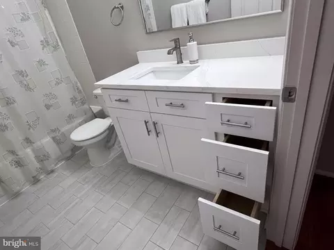 Bath - 1570 Spring Gate Dr #7203, Mclean, VA 22102 photo 6 of 6