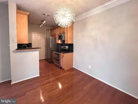 Other - 1570 Spring Gate Dr #7203, Mclean, VA 22102 photo 4 of 13