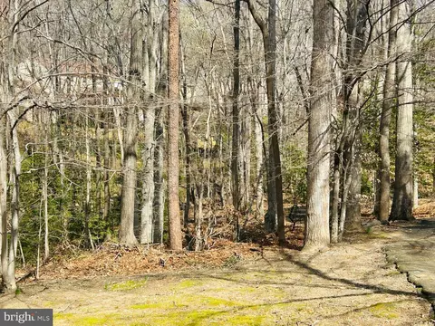 Exterior - 7265 Kousa Ln, Springfield, VA 22152 photo 10 of 12