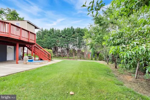 Exterior - 7107 Healy Dr, Springfield, VA 22150 photo 9 of 12