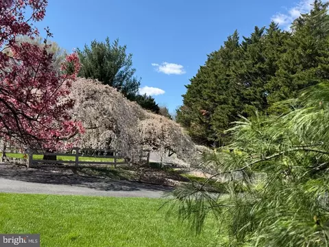 Other - 11061 Tottenham Ln, Reston, VA 20194 photo 22 of 22