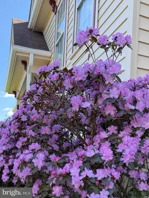 Exterior - 11061 Tottenham Ln, Reston, VA 20194 photo 16 of 16