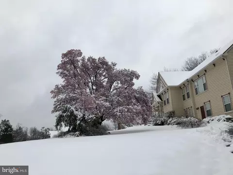 Exterior - 11061 Tottenham Ln, Reston, VA 20194 photo 15 of 16