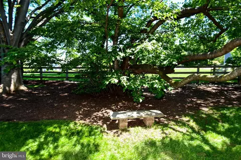 Exterior - 11061 Tottenham Ln, Reston, VA 20194 photo 13 of 16
