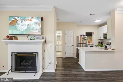 Other - 1591 Spring Gate Dr #3311, Mclean, VA 22102 photo 5 of 20