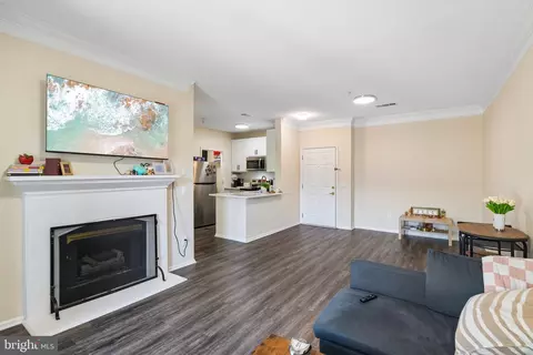 Living - 1591 Spring Gate Dr #3311, Mclean, VA 22102 photo 5 of 5