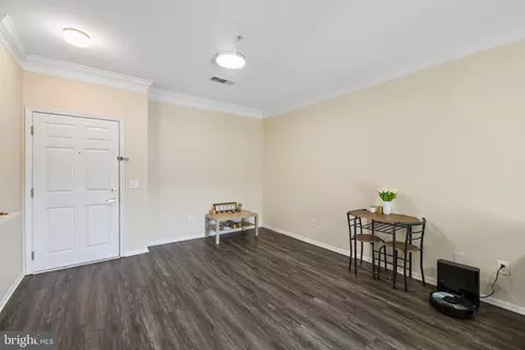 Other - 1591 Spring Gate Dr #3311, Mclean, VA 22102 photo 4 of 20