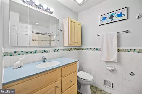 Bath - 12007 Turf Ln, Reston, VA 20191 photo 3 of 7