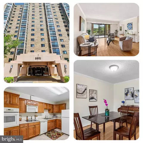 5901 Mount Eagle Dr #409, Alexandria, VA 22303