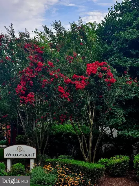 Other - 2231 Wheelwright Ct, Reston, VA 20191 photo 14 of 14
