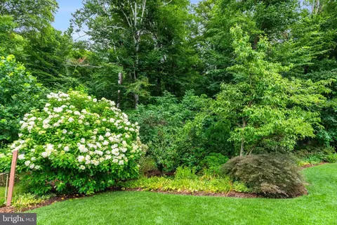 7504 Nancemond St, Springfield, VA 22150 photo 43